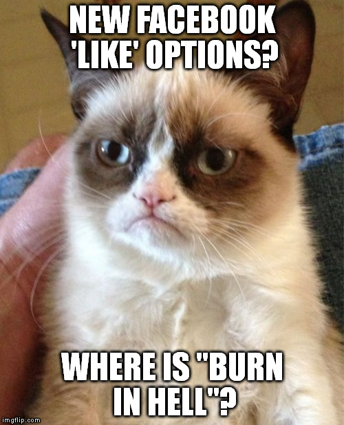 Grumpy Cat | NEW FACEBOOK 'LIKE' OPTIONS? WHERE IS "BURN IN HELL"? | image tagged in memes,grumpy cat | made w/ Imgflip meme maker