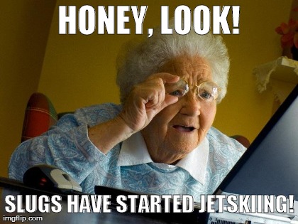 Grandma Finds The Internet Meme | HONEY, LOOK! SLUGS HAVE STARTED JETSKIING! | image tagged in memes,grandma finds the internet | made w/ Imgflip meme maker