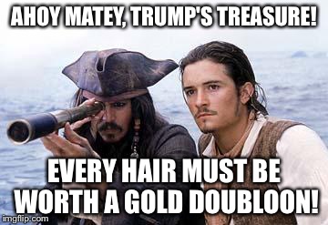 Pirate Telescope | AHOY MATEY, TRUMP'S TREASURE! EVERY HAIR MUST BE WORTH A GOLD DOUBLOON! | image tagged in pirate telescope | made w/ Imgflip meme maker