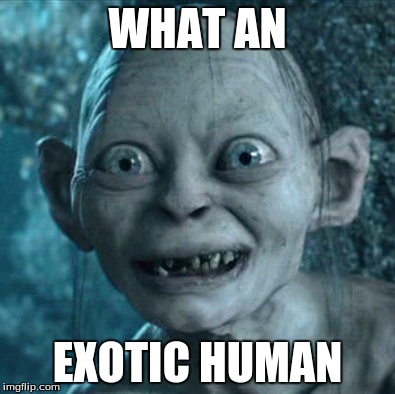 Gollum Meme | WHAT AN; EXOTIC HUMAN | image tagged in memes,gollum | made w/ Imgflip meme maker