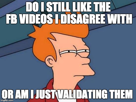 Futurama Fry | DO I STILL LIKE THE FB VIDEOS I DISAGREE WITH; OR AM I JUST VALIDATING THEM | image tagged in memes,futurama fry | made w/ Imgflip meme maker