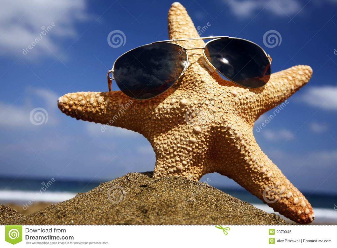 High Quality Starfish Blank Meme Template