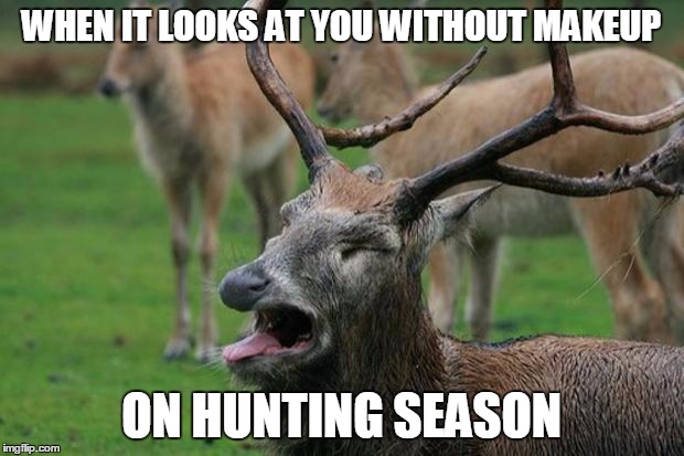 Disgusted Deer | WHEN IT LOOKS AT YOU WITHOUT MAKEUP; ON HUNTING SEASON | image tagged in disgusted deer | made w/ Imgflip meme maker