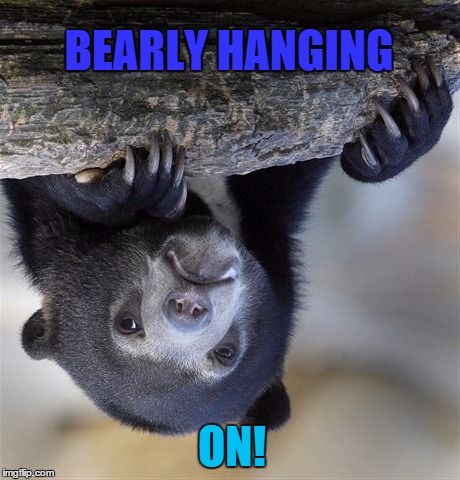 Confession Bear | BEARLY HANGING; ON! | image tagged in memes,confession bear | made w/ Imgflip meme maker