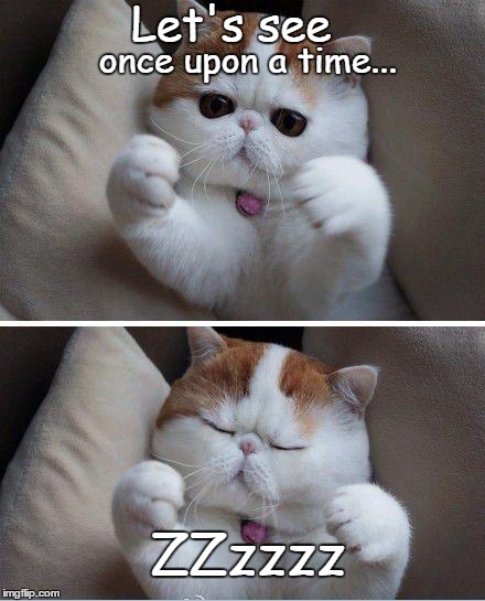 Reading invisible fairy tale book | Let's see; once upon a time... ZZzzzz | image tagged in i need hugs cat,memes,funny cats,cats | made w/ Imgflip meme maker