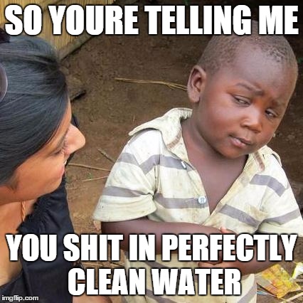 Third World Skeptical Kid | SO YOURE TELLING ME; YOU SHIT IN PERFECTLY CLEAN WATER | image tagged in memes,third world skeptical kid | made w/ Imgflip meme maker