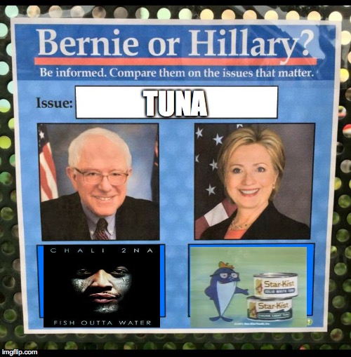 Bernie or Hillary? | TUNA | image tagged in bernie or hillary | made w/ Imgflip meme maker