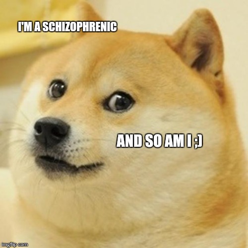 Doge | I'M A SCHIZOPHRENIC; AND SO AM I ;) | image tagged in memes,doge | made w/ Imgflip meme maker