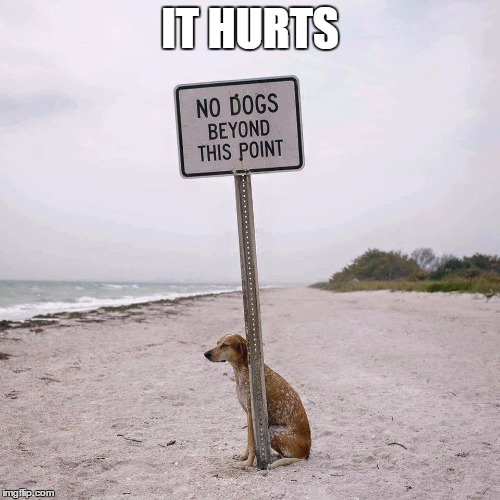 Fight the Power No Dogs | IT HURTS | image tagged in fight the power no dogs | made w/ Imgflip meme maker