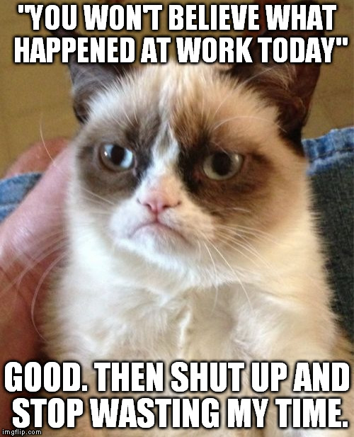 Grumpy Cat | "YOU WON'T BELIEVE WHAT HAPPENED AT WORK TODAY"; GOOD. THEN SHUT UP AND STOP WASTING MY TIME. | image tagged in memes,grumpy cat | made w/ Imgflip meme maker
