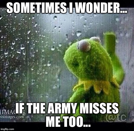 Kermit | SOMETIMES I WONDER... IF THE ARMY MISSES ME TOO... | image tagged in kermit | made w/ Imgflip meme maker