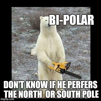 Chainsaw Bear Meme | BI-POLAR; DON'T KNOW IF HE PERFERS THE NORTH  OR SOUTH POLE | image tagged in memes,chainsaw bear | made w/ Imgflip meme maker