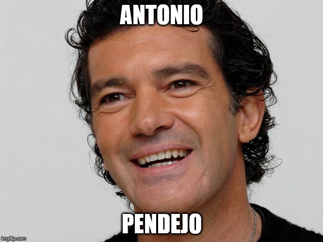ANTONIO; PENDEJO | image tagged in antonio | made w/ Imgflip meme maker