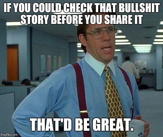 That Would Be Great | IF YOU COULD CHECK THAT BULLSHIT STORY BEFORE YOU SHARE IT; THAT'D BE GREAT. | image tagged in memes,that would be great | made w/ Imgflip meme maker