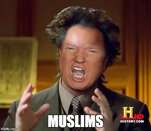 Donald Trump Aliens Guy | MUSLIMS | image tagged in donald trump aliens guy | made w/ Imgflip meme maker