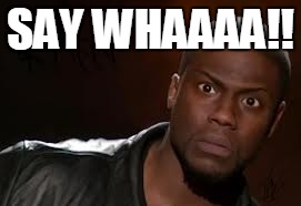 Kevin Hart Meme | SAY WHAAAA!! | image tagged in memes,kevin hart the hell | made w/ Imgflip meme maker