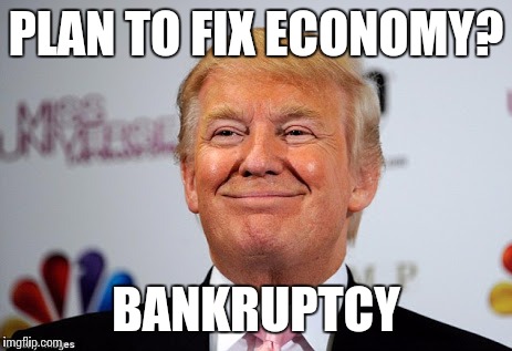 Donald trump approves | PLAN TO FIX ECONOMY? BANKRUPTCY | image tagged in donald trump approves | made w/ Imgflip meme maker