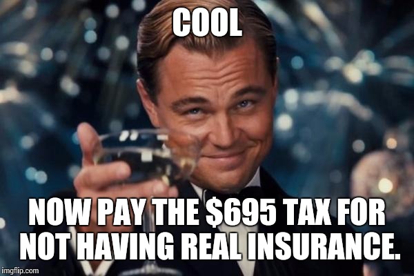 Leonardo Dicaprio Cheers Meme | COOL NOW PAY THE $695 TAX FOR NOT HAVING REAL INSURANCE. | image tagged in memes,leonardo dicaprio cheers | made w/ Imgflip meme maker