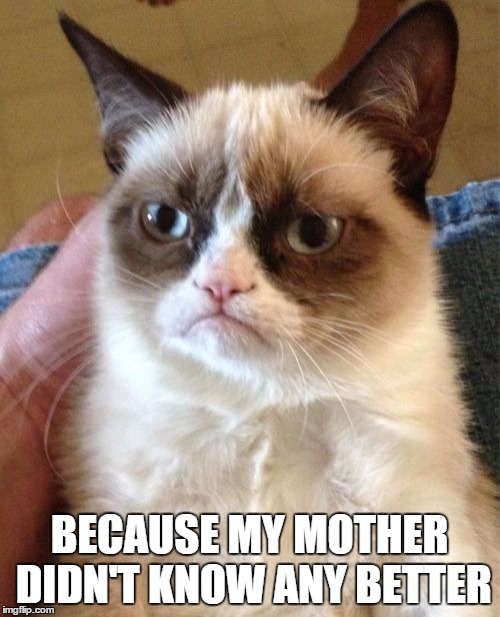 Grumpy Cat Meme | BECAUSE MY MOTHER DIDN'T KNOW ANY BETTER | image tagged in memes,grumpy cat | made w/ Imgflip meme maker