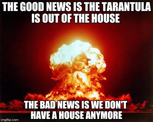 Nuclear Explosion | THE GOOD NEWS IS THE TARANTULA IS OUT OF THE HOUSE; THE BAD NEWS IS WE DON'T HAVE A HOUSE ANYMORE | image tagged in memes,nuclear explosion | made w/ Imgflip meme maker