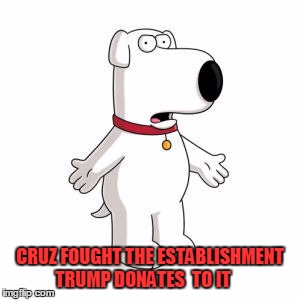 Family Guy Brian Meme | CRUZ FOUGHT THE ESTABLISHMENT   TRUMP DONATES  TO IT | image tagged in memes,family guy brian | made w/ Imgflip meme maker