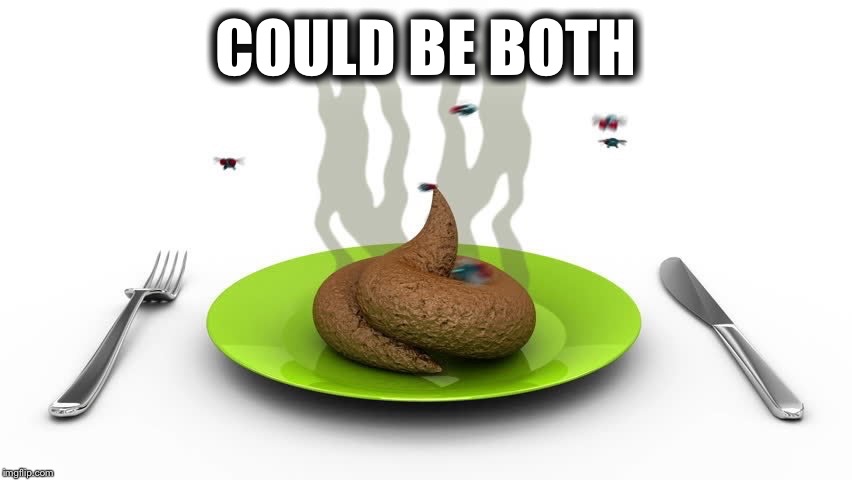 Poopoo platter | COULD BE BOTH | image tagged in poopoo platter | made w/ Imgflip meme maker