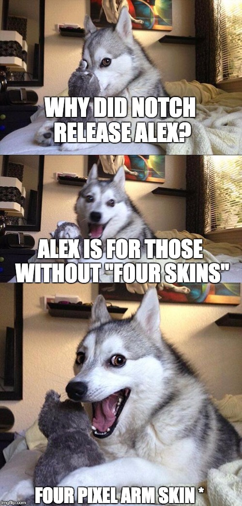 Minecraft Alex | WHY DID NOTCH RELEASE ALEX? ALEX IS FOR THOSE WITHOUT "FOUR SKINS"; FOUR PIXEL ARM SKIN * | image tagged in memes,bad pun dog | made w/ Imgflip meme maker