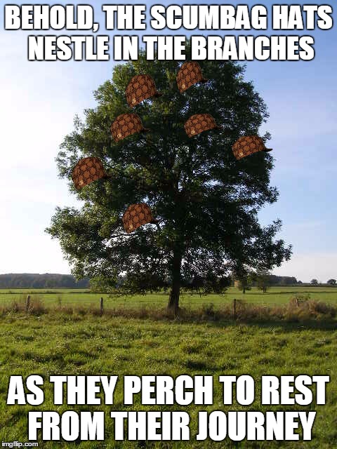 BEHOLD, THE SCUMBAG HATS NESTLE IN THE BRANCHES AS THEY PERCH TO REST FROM THEIR JOURNEY | made w/ Imgflip meme maker