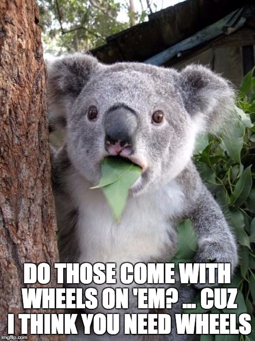 WTF Koala | DO THOSE COME WITH WHEELS ON 'EM? ... CUZ I THINK YOU NEED WHEELS | image tagged in wtf koala | made w/ Imgflip meme maker