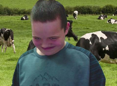 I love cows Blank Meme Template