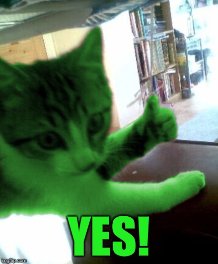 thumbs up RayCat | YES! | image tagged in thumbs up raycat | made w/ Imgflip meme maker