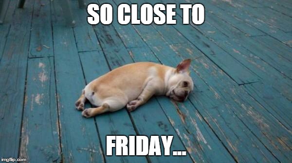 tired dog | SO CLOSE TO; FRIDAY... | image tagged in tired dog | made w/ Imgflip meme maker