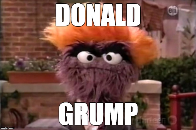 “Donald Grump” | DONALD; GRUMP | image tagged in sesame street,donald grump,donald trump,election 2016,environment,global warming | made w/ Imgflip meme maker