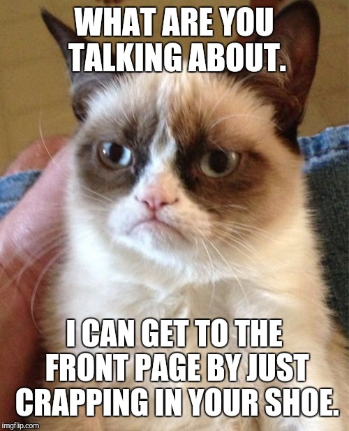 Grumpy Cat Meme | WHAT ARE YOU TALKING ABOUT. I CAN GET TO THE FRONT PAGE BY JUST CRAPPING IN YOUR SHOE. | image tagged in memes,grumpy cat | made w/ Imgflip meme maker