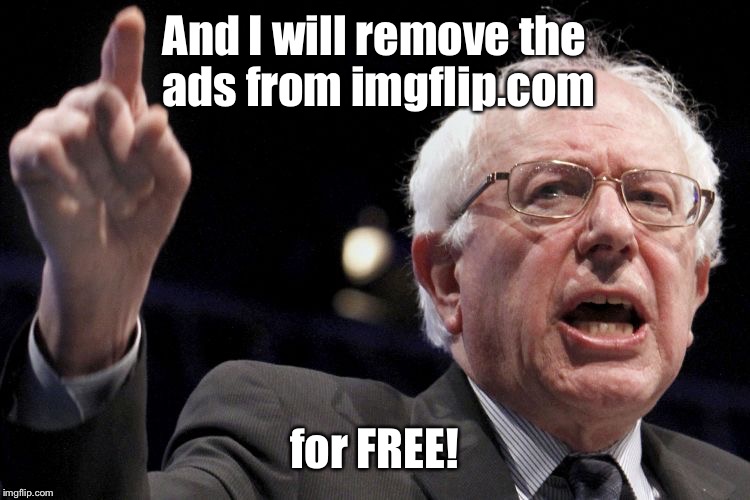 Sanders frees the Internet  | And I will remove the ads from imgflip.com; for FREE! | image tagged in bernie sanders,free,internet | made w/ Imgflip meme maker
