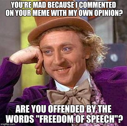 Creepy Condescending Wonka Meme | YOU'RE MAD BECAUSE I COMMENTED ON YOUR MEME WITH MY OWN OPINION? ARE YOU OFFENDED BY THE WORDS "FREEDOM OF SPEECH"? | image tagged in memes,creepy condescending wonka | made w/ Imgflip meme maker