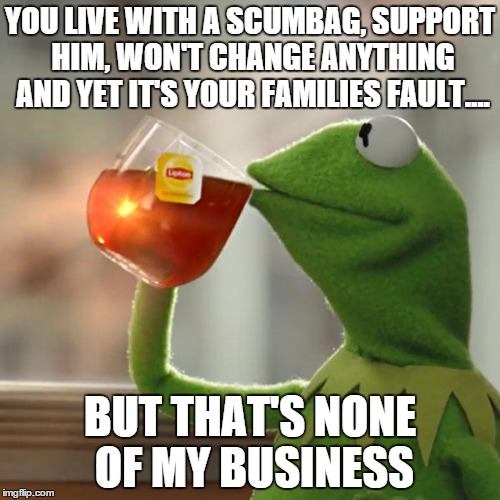 But That's None Of My Business | YOU LIVE WITH A SCUMBAG, SUPPORT HIM, WON'T CHANGE ANYTHING AND YET IT'S YOUR FAMILIES FAULT.... BUT THAT'S NONE OF MY BUSINESS | image tagged in memes,but thats none of my business,kermit the frog | made w/ Imgflip meme maker