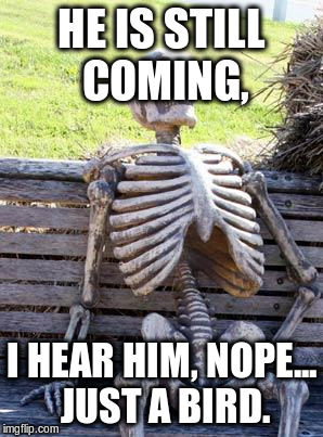 Waiting Skeleton | HE IS STILL COMING, I HEAR HIM, NOPE... JUST A BIRD. | image tagged in memes,waiting skeleton | made w/ Imgflip meme maker