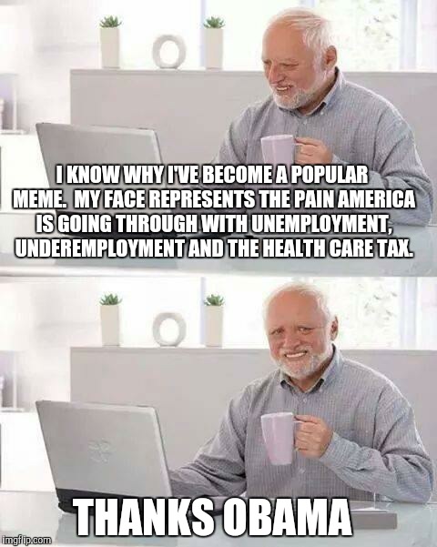 Hide the Pain Harold Meme | I KNOW WHY I'VE BECOME A POPULAR MEME.  MY FACE REPRESENTS THE PAIN AMERICA IS GOING THROUGH WITH UNEMPLOYMENT, UNDEREMPLOYMENT AND THE HEALTH CARE TAX. THANKS OBAMA | image tagged in memes,hide the pain harold | made w/ Imgflip meme maker