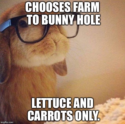 Hipster Bunny | CHOOSES FARM TO BUNNY HOLE; LETTUCE AND CARROTS ONLY. | image tagged in hipster bunny | made w/ Imgflip meme maker