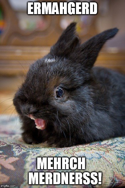 ermahgerd bunny | ERMAHGERD; MEHRCH  
MERDNERSS! | image tagged in ermahgerd bunny | made w/ Imgflip meme maker