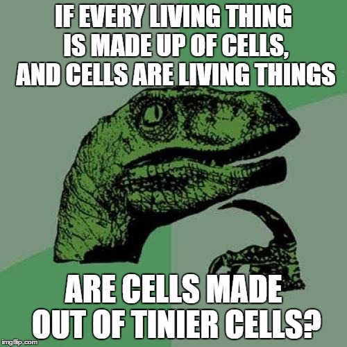 cells |  IF EVERY LIVING THING IS MADE UP OF CELLS, AND CELLS ARE LIVING THINGS; ARE CELLS MADE OUT OF TINIER CELLS? | image tagged in memes,philosoraptor,cells | made w/ Imgflip meme maker