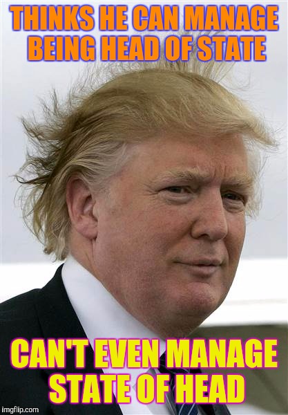Unless We Can Overcomb This Threat, There Will Be Hell Toupee |  THINKS HE CAN MANAGE BEING HEAD OF STATE; CAN'T EVEN MANAGE STATE OF HEAD | image tagged in donald trump,trump,donald trumph hair,memes,funny,front page | made w/ Imgflip meme maker