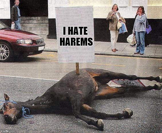 I HATE HAREMS | made w/ Imgflip meme maker