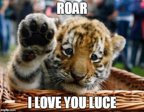 Tiger 5 | ROAR; I LOVE YOU LUCE | image tagged in tiger 5 | made w/ Imgflip meme maker