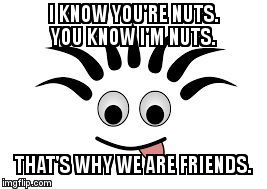 I KNOW YOU'RE NUTS. YOU KNOW I'M NUTS. THAT'S WHY WE ARE FRIENDS. | image tagged in crazy | made w/ Imgflip meme maker