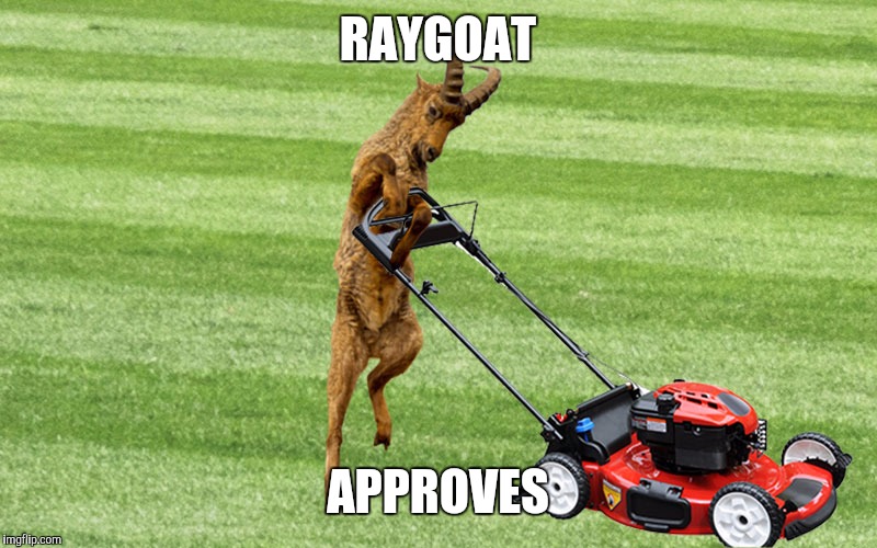 RAYGOAT APPROVES | made w/ Imgflip meme maker