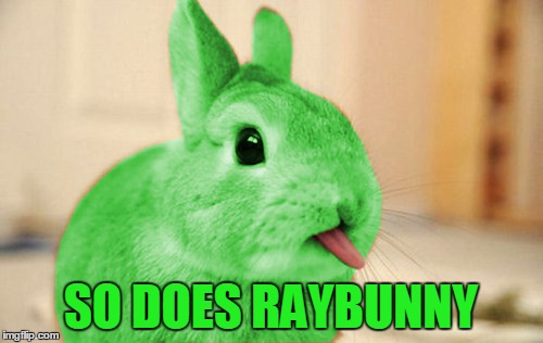 SO DOES RAYBUNNY | made w/ Imgflip meme maker