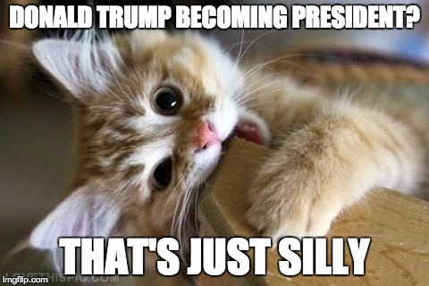 That's just a political meme | DONALD TRUMP BECOMING PRESIDENT? THAT'S JUST SILLY | image tagged in that's just silly cat | made w/ Imgflip meme maker