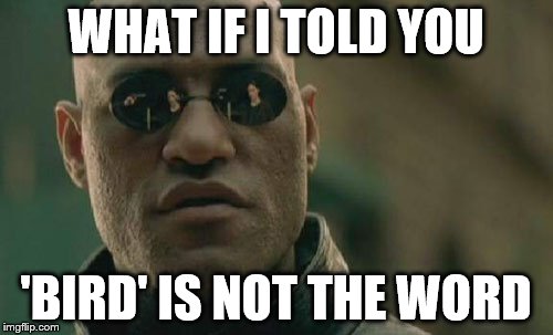 Matrix Morpheus Meme | WHAT IF I TOLD YOU 'BIRD' IS NOT THE WORD | image tagged in memes,matrix morpheus | made w/ Imgflip meme maker